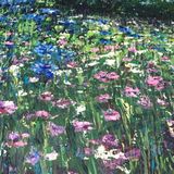 Pink & Blue - detail 2