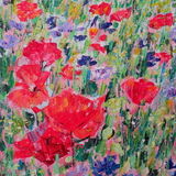 Poppies & Cornflowers - detail An original painting of poppies and cornflowers by Dorset Artist Andrea Hook