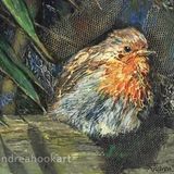 Ruffled Feathers