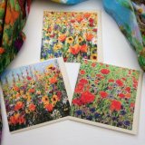 Etsy: Set of 3 Wildflower Cards