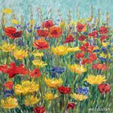 Summer Border