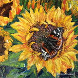 Sunflower Butterfly