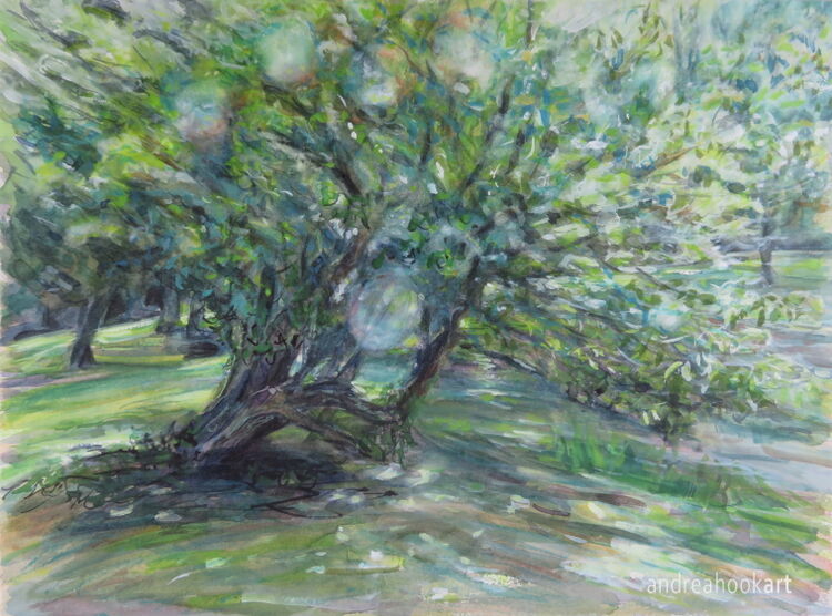 The Old Orchard, Cranborne Manor