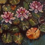 Waterlilies