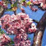 Blossom