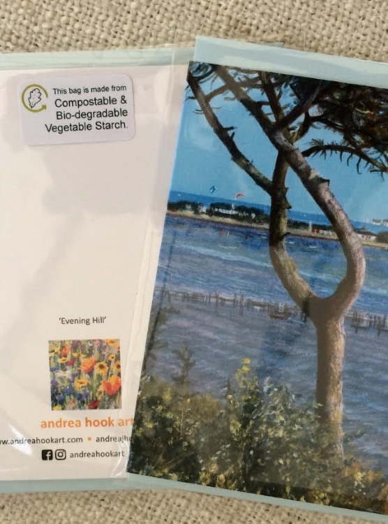 Coastal and Wildflower Cards in compostable sleeves by Dorset Artist Andrea Hook