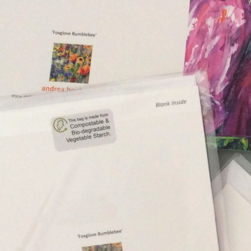 wildflower cards in compostable sleeves by Dorset Artist Andrea Hook