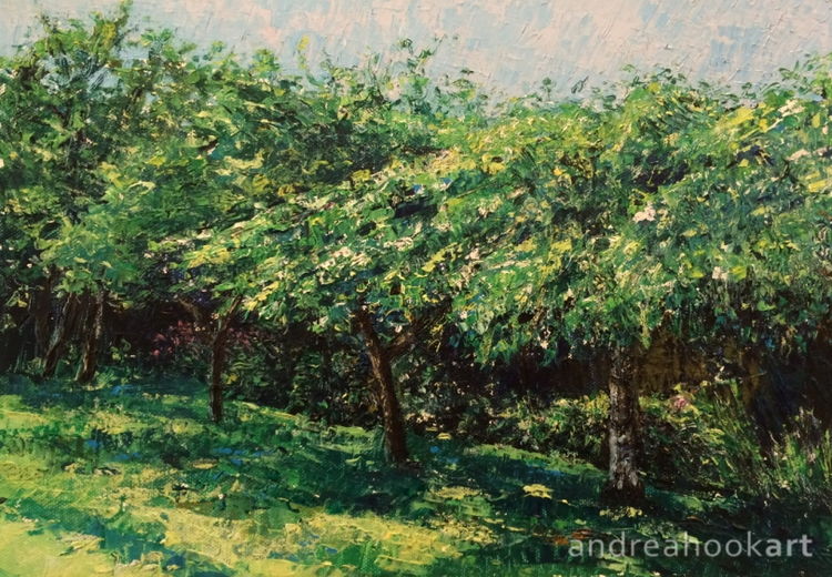 An original impasto painting of trees in an orchard by Dorset Artist Andrea Hook
