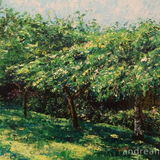 In the Garden: NFS An original impasto painting of trees in an orchard by Dorset Artist Andrea Hook