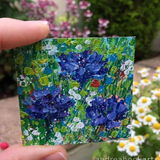 Miniature Wildflower Painting - Cornflowers Mini wildflower painting of cornflowers held in the hand in garden