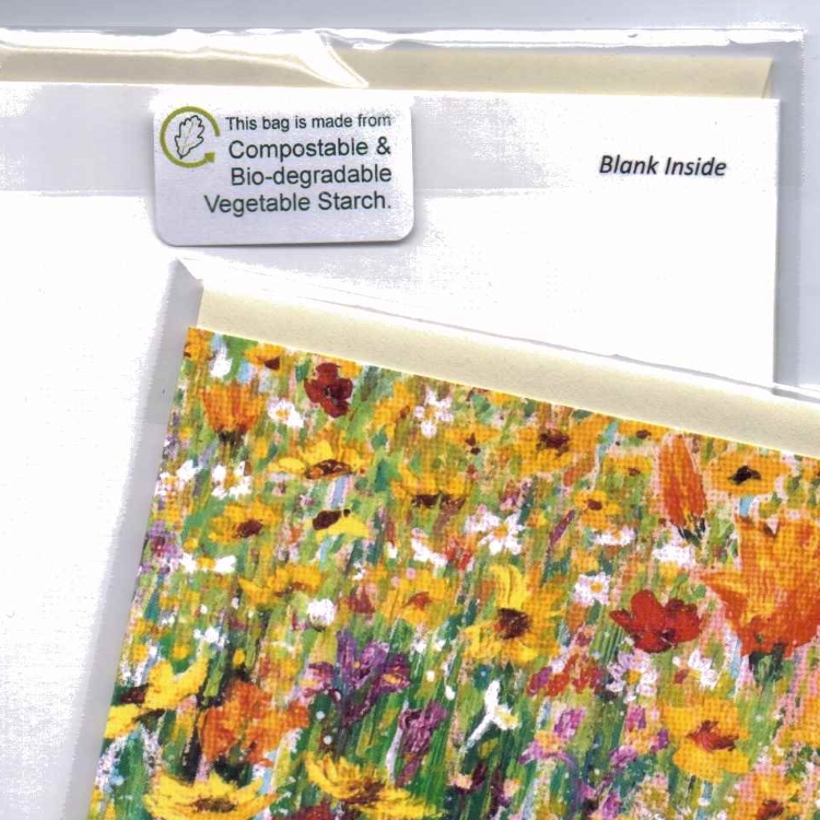 wildflower cards in composable sleeves by Dorset Artist Andrea Hook