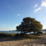 Cards at Studland Knoll Beach, National Trust, Dorset
