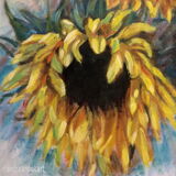 Solo Sunflower - detail