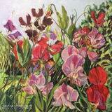 Sweet Peas: £155