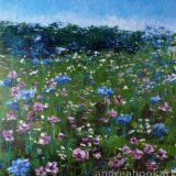 Wild Flower Meadow Two