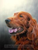 'Harley' - Red Setter
