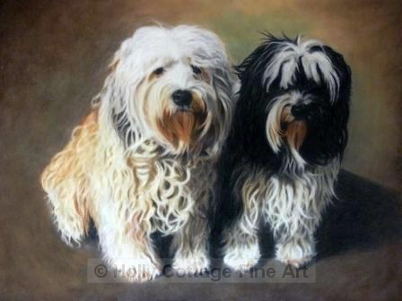 Harvey and Mutley - Tibetan Terriers
