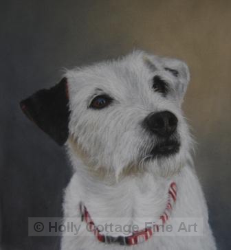 Milly - Jack Russell Terrier