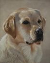 Rosie