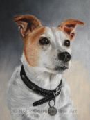 Scamp - Terrier