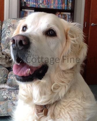 Original photograph of Toby