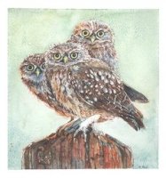 Little Owls by Heather Read