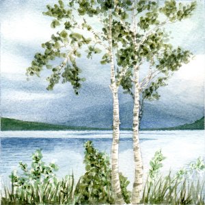 Lough Allen II