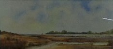 Marshland by Hermione Ward