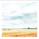 Pack of 10 square cards of one design