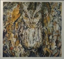 Now You See Me ... Long Eared Owl by Heather Read