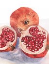 Watercolour Club - Learn to Paint - Gillingham, Dorset - continues until December 19th