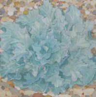 Sea Kale