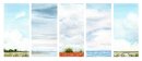 Shingle Street Landscape