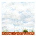 Suffolk Summer II