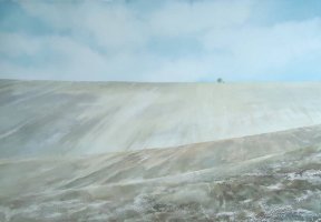 Winter Field by Laura Jolliffe