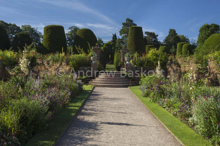 Carolleon Garden