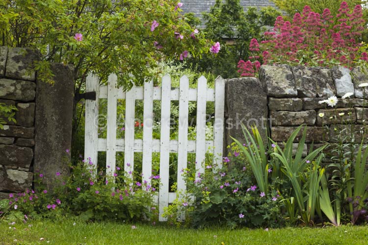Secret Garden