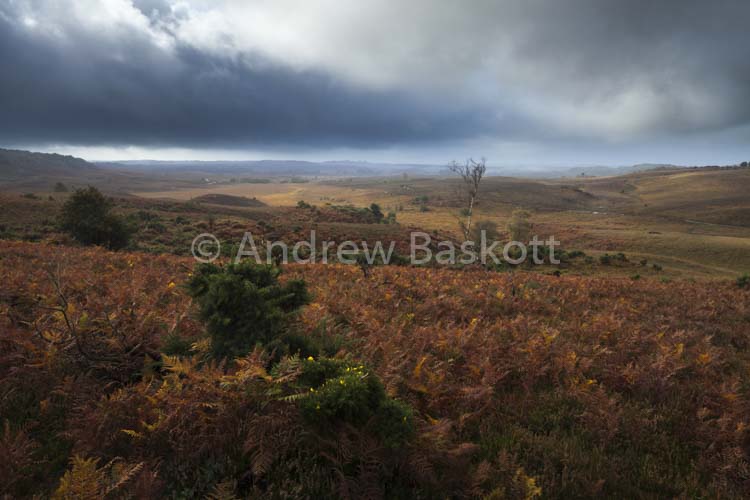 The Smugglers Road
