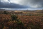 The Smugglers Road