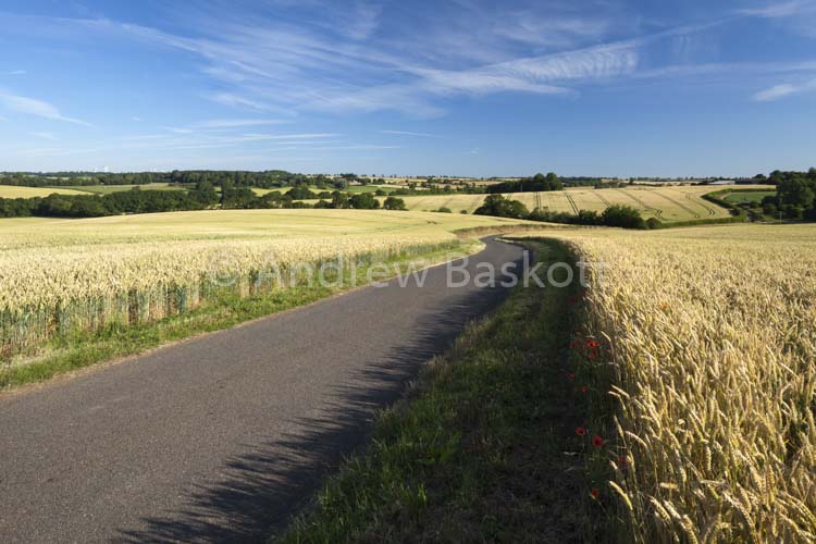 Winding Road
