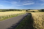 Winding Road