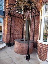 Vine arbour
