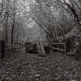 Trackbed near Tidenham Quarry, Gloucestershire