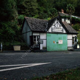 Black Cat, Devon