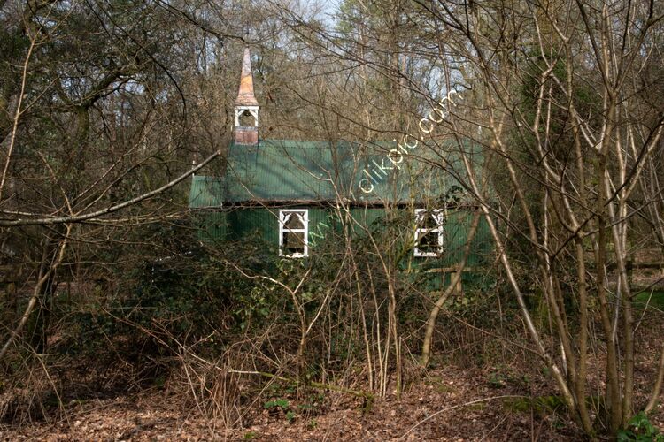 Bramdean Common, Hampshire