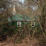 Bramdean Common, Hampshire