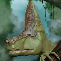 Book Art & Illustrations