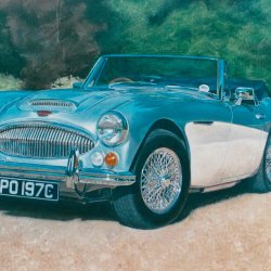 Austin Healey