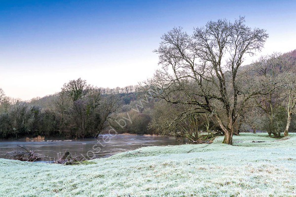 101 River Teifi Cenarth