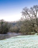 101 River Teifi Cenarth